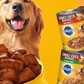 12-Ct  Pedigree Choice Cuts In Gravy Canned Wet Adult Dog Food, Variety Pack as low as $9.06 After Coupon (Reg. $33) + Free Shipping – $0.76/ 13.2-Oz Can @ $9.06