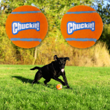 2-Pack ChuckIt! Large Tennis Ball Dog Toy as low as $2.69 Shipped Free (Reg. $10.86) – $1.35/Ball @ $2.69
