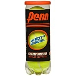 3-Pack Penn Championship Regular Duty Felt Pressurized Tennis Balls @ $3.28