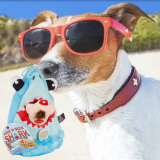 4-Piece Bow Wow Shark Hide & Seek Plush Dog Teeth Teasing Toy Set $7.20 (Reg. $15) @ $7.20