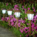 Solar Pathway Lights @ $9.90