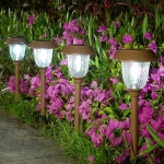 Solar Pathway Lights @ $9.90