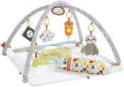 Fisher-Price Perfect Sense Deluxe Gym @ $39.99