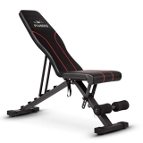 FLYBIRD Adjustable Bench @ $111.99