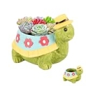 Turtle Planter Succulents Pot Castus Plants Garden Decor Desk Room Decorations for Plant Turtle Lover (Plants Not Included) @ $4.49