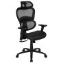 Flash Furniture LO Ergonomic Mesh Office Chair with 2-to-1 Synchro-Tilt @ $226.31