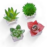 Cute Succulent Fridge Magnet, 4-Pieces 3D Plant Magnets for Refrigerator Whiteboard Mini Decorative Magnets for Kitchen Office (Red) @ $7.99 ($2.00 / Count)