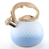 Tea Kettle @ $14.24