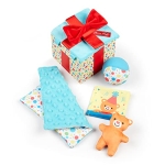 Melissa & Doug Wooden Surprise Gift Box Infant Toy (5 Pieces) @ $11.26