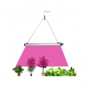 Lominie LED Grow Light @ $9.59