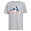 adidas Boys’ Short Sleeve Cotton USA Graphic T-Shirt, Grey Heather Flag @ $5.40