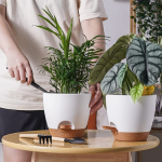 5-Pack Self Watering 6″ Planter Pots $17.39 After Code (Reg. $29) – $3.48/Pot + Free Shipping @ $17.39