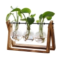 XXXFLOWER Plant Terrarium with Wooden Stand @ $15.28