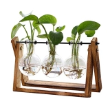 XXXFLOWER Plant Terrarium with Wooden Stand @ $15.28