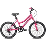 BCA 20