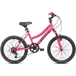 BCA 20