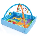 Bruin 2 in 1 Playgym @ $17.54