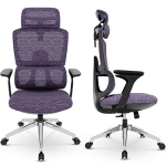 Dripex Ergonomic Office Chair Mesh Computer Desk Chairs with Lumbar Support/Adjustable Headrest/Cushioned Seat/Breathable High Back/Wheels Arms @ $149.99