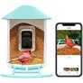 Netvue Bird Feeder Smart Camera + Feeder with APP Notification and AI Recognition @ $224.99