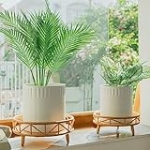 Chonsun Plant Stand Wood Riser 2Pcs Wooden Pedestal Stand Round For Display Indoor Farmhouse Rustic Decorative Display Tray Plant Stand 12in and 14in @ $25.20