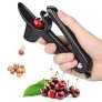 Cherry Pitter, Heavy-Duty Olive and Cherry Pitters Corer Tool with Space-Saving Lock Design, Multi-Function Cherries Stoner Seed Remover Tool for Making Cherry Jam (Black) @ $4.99