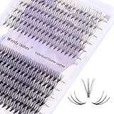 DIY Lash Clusters for Eyelash Extensions: Ultra-light, Natural, Fluffy, Manga, Wispy, Waterproof, Anime, Manga, Cat Eye, CC Curl, 12-16mm Mixed, 10+20P, Wendy Lashes, 1226