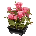 National Tree Pink 10