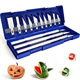 16 Piece Precision Craft Hobby Knife Kit, Utility Art Exacto Knife Sets, Sharp Razor Knives Tool for Carving, Architecture Modeling, Scrapbooking, Sculpture, Wood Working-Stencil, DIY Art Work Cutting @ $36.99