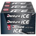 Dentyne Ice Arctic Chill Sugar Free Gum @ $5.40