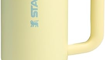 STANLEY Quencher ProTour Flip Straw Tumbler with Leakproof Lid | Built-In Straw & Handle | Cupholder Compatible for Travel | Insulated Stainless Steel Cup | BPA-Free @ $20