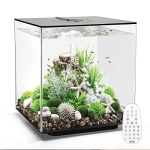 Cube 60 Aquarium with MCR Light – 16 Gallon @ $238.79