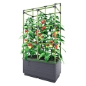 Bio Green City Jungle Gardening System –Self Watering Planter with Trellis –17L Water Reservoir –Easy DIY Assembly –Ideal for Flowers @ $79.99