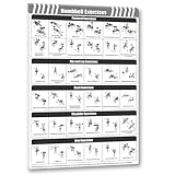 Gym Dumbbell Workout Poster for Men,Exercise Posters for Home Workouts,Fitness Follow-through Action Chart for Home Wall Decorations 16 * 24 IN Unframed