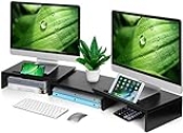 AMERIERGO Dual Monitor Stand Riser for 2 Monitors, Monitor Stand for Desk, Adjustable Computer Monitor Stand with 2 Slot, Multifunctional Desktop Organizer Stand for Laptop, PC, Computer, Printer @ $22.39