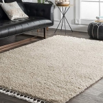nuLOOM Neva Plush Shag Accent Rug @ $7.05