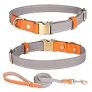 Nylon Dog Collar, with Metal Safety Buckle, Adjustable Leather & Nylon Pet Collars & Leash Set for Small Medium Large Dogs (M, Grey) @ $12.45
