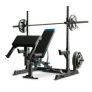 ProForm Carbon Strength Olympic System @ $166.67
