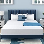EGO Memory Foam Mattress, 8 inch Medium Firm Mattress Bed