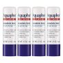 Aquaphor Lip Repair Stick with Jojoba Oil and Shea Butter, Moisturizing Lip Balms, Fragrance Free and Paraben Free, Immediately Relieves Dryness, 0.17 Oz Stick, Pack of 4 @ $7.17