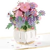 Hallmark Signature Paper Wonder Pop Up Birthday or Anniversary Card