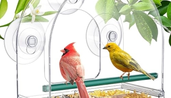 SUNALLY Window Bird Feeder for Outdoors, Clear Feeders Window Mounted with Strong Suction Cups, Fummingbird Feeder for Viewing Inside, Oriole, Finch Bird Watching for Cats, Elderly, Kids