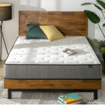 Zinus Queen Size 10