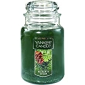 Yankee Candle Large Jar Candle Balsam & Cedar @ $12.39