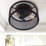 Safavieh FLU4006A Collection Albina Mount Flush Light @ $69.27