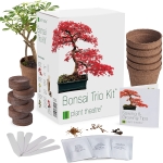 Plant Theatre Bonsai Trio Kit, 3 Distinctive Bonsai Trees to Grow