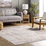 NuLOOM Jacquie Machine Washable Vintage Floral Area Rug 4x6FT @ $34.99