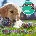 7-Count AMZpets Dog Toys Set for Aggressive Chewers $11.39 After Coupon (Reg. $26) – 4.2K+  – $1.63 each! @ $11.39