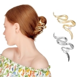 SET OF TWO METALLIC CLIPS @ $3.99