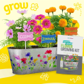 Paint & Plant Flower Craft Kit for Kids $9.99 (Reg. $24.99) 10K+ 4.6/5 Stars! @ $9.99
