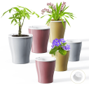 SET OF 6 SELF WATERING PLANTERS @ $11.99